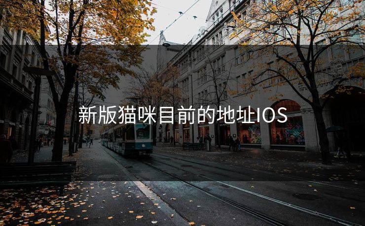 新版猫咪目前的地址IOS