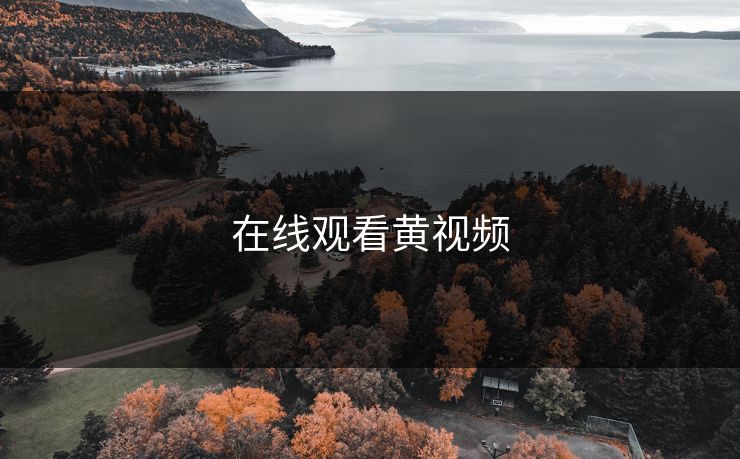 在线观看黄视频