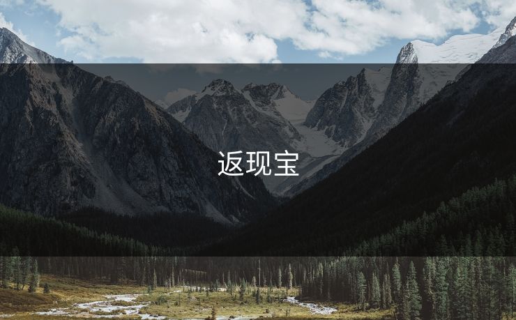返现宝