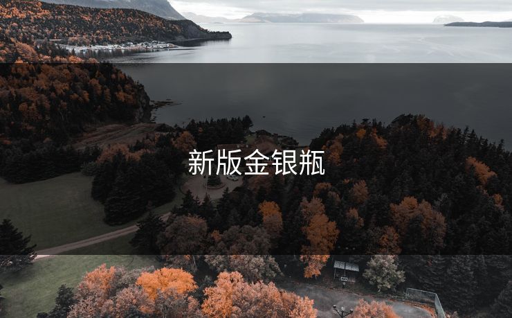 新版金银瓶 新版金银瓶