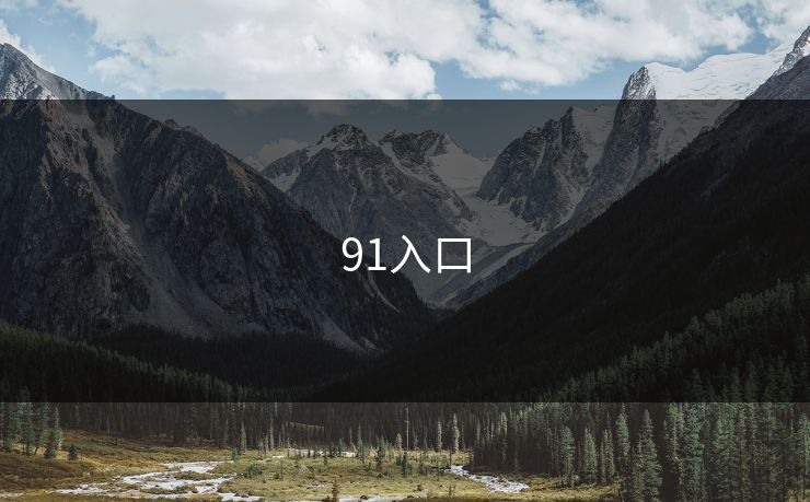 91入口 91入口