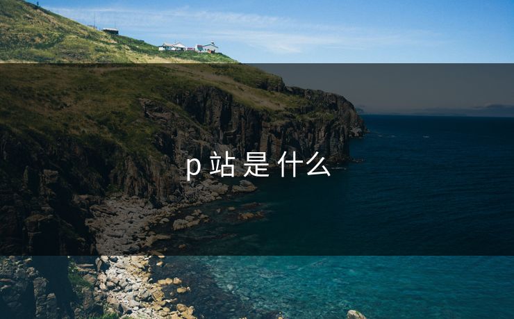 p 站 是 什么