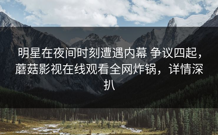 明星在夜间时刻遭遇内幕 争议四起，蘑菇影视在线观看全网炸锅，详情深扒