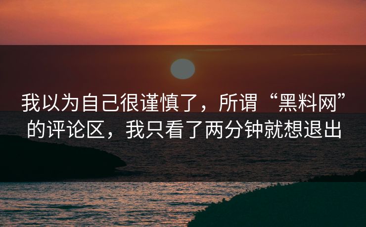 我以为自己很谨慎了，所谓“黑料网”的评论区，我只看了两分钟就想退出