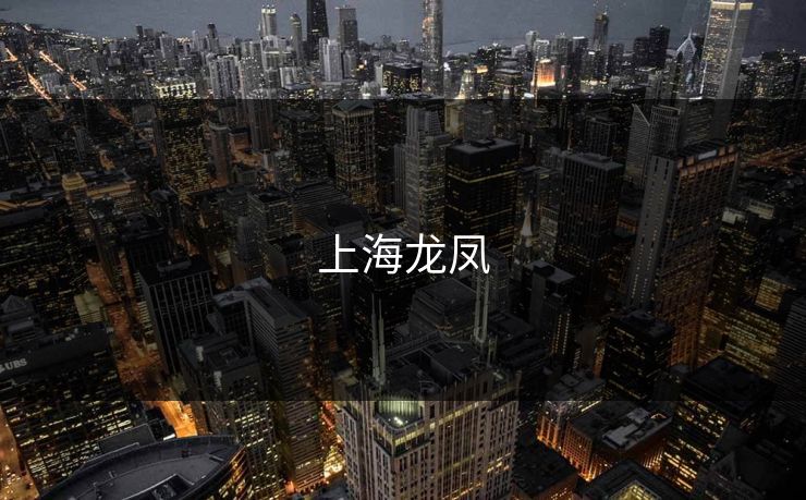 上海龙凤 上海龙凤